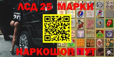 скорость Бердск