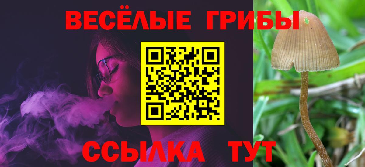 Галлюциногенные грибы ЛСД  Вход с VPN  Алатырь 